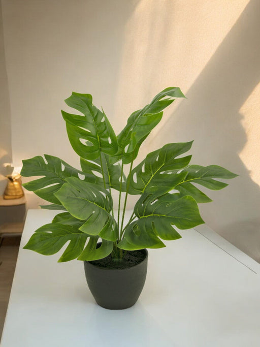 Monstera - Pianta Verde Artificiale
