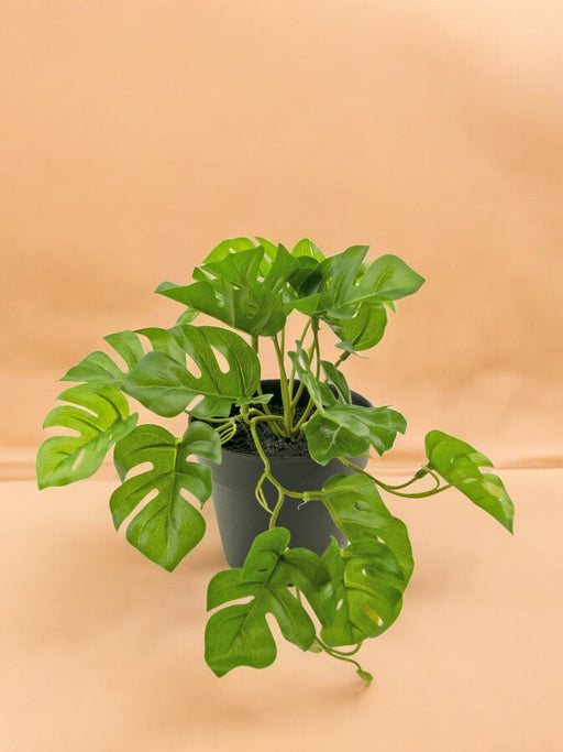 Monstera - Pianta Verde Artificiale