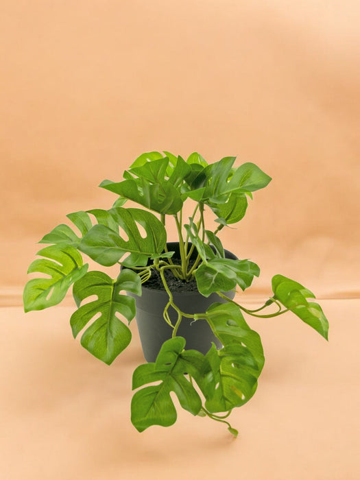 Monstera - Pianta Verde Artificiale