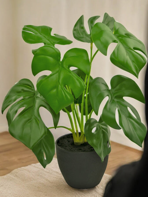 Monstera - Pianta Verde Artificiale