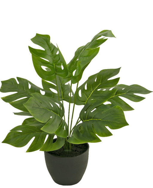 Monstera - Pianta Verde Artificiale