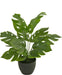 Monstera - Pianta Verde Artificiale