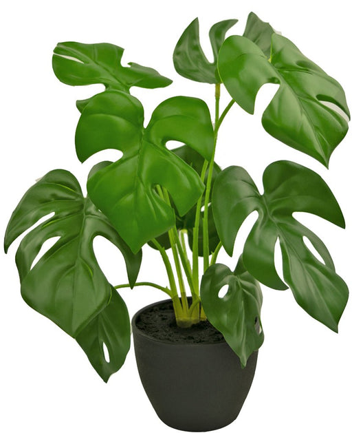 Monstera - Pianta Verde Artificiale