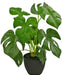 Monstera - Pianta Verde Artificiale
