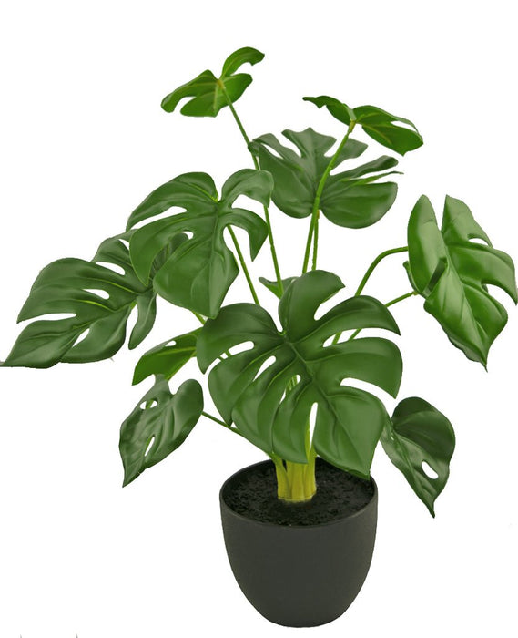 Monstera - Pianta Verde Artificiale