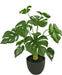 Monstera - Pianta Verde Artificiale