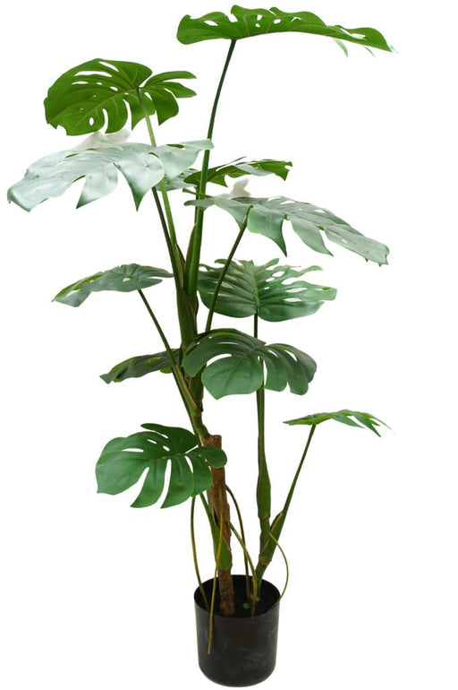 Monstera - Grande Pianta Artificiale