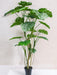 Monstera - Grande Pianta Artificiale