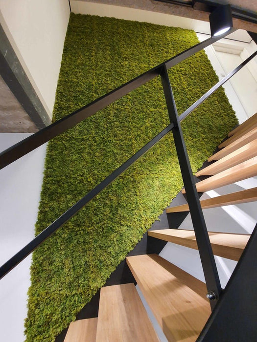 Muschio Nordico - Parete Verde Artificiale