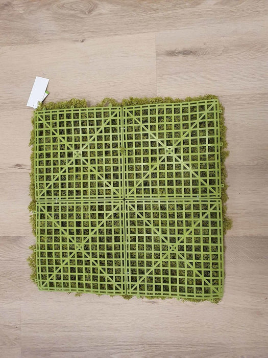 Muschio Nordico - Parete Verde Artificiale