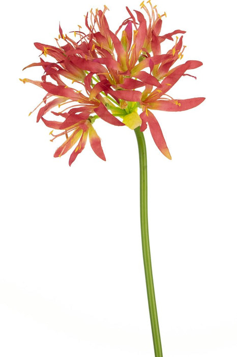 Nerina Fucsia Artificiale