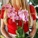 Offerta Duo Phalaenopsis Pirate Picotee - Orchidee In Fiore