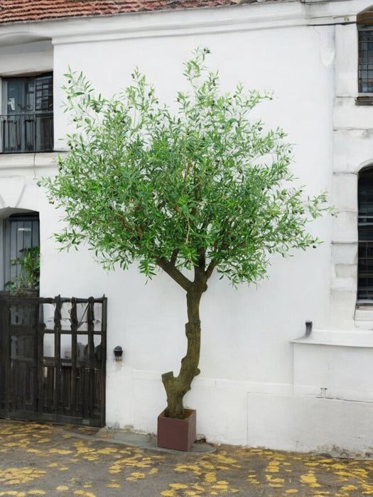 Olivier - Albero Artificiale