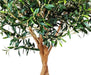Olivier - Albero Artificiale
