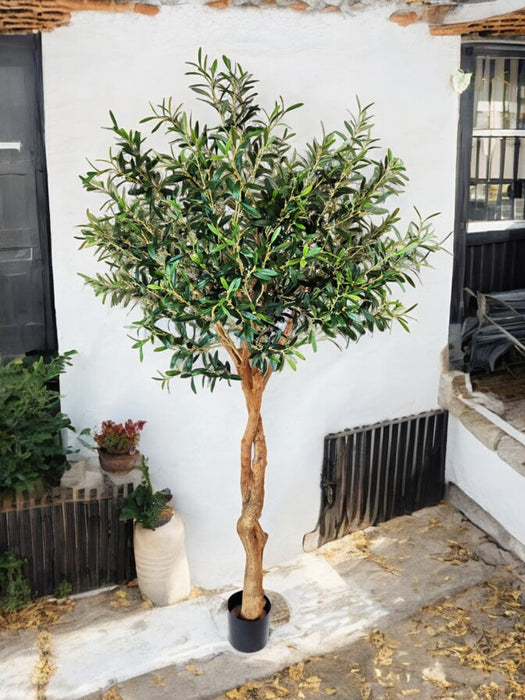 Olivier - Albero Artificiale