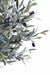 Olivo Artificiale Pianta Da Interno 150 Cm