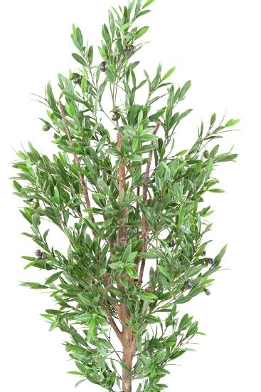 Olivo Artificiale 150Cm Per Terrazzo Giardino Esterno