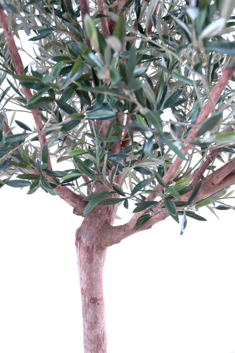 Olivo Artificiale 210Cm Con Olive Per Interni