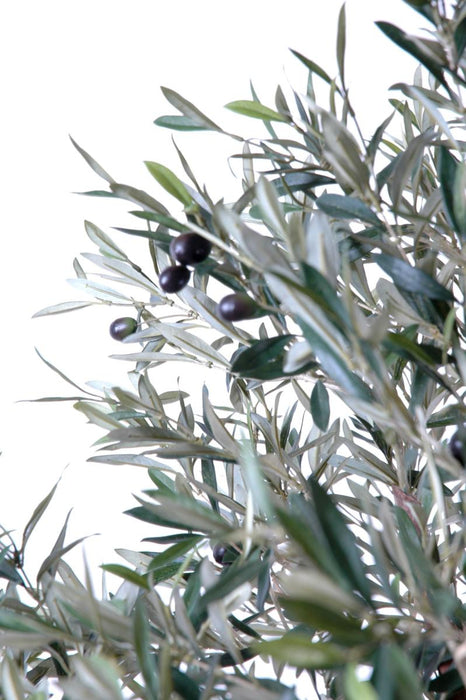 Olivo Artificiale 210Cm Con Olive Per Interni