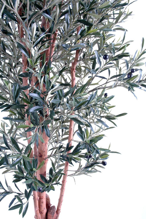 Olivo Artificiale 210Cm Per Interni