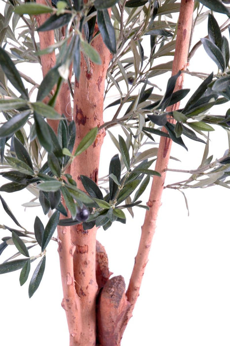 Olivo Artificiale 210Cm Per Interni