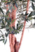 Olivo Artificiale 210Cm Per Interni