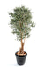 Olivo Artificiale 210Cm Per Interni
