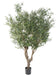 Olivo Artificiale 215 Cm Per Interni
