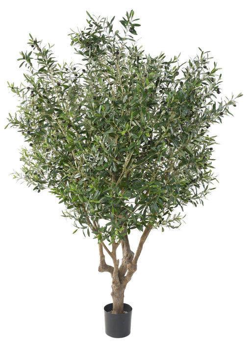 Olivo Artificiale 215 Cm Per Interni