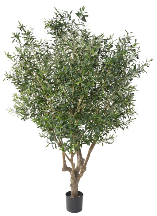 Olivo Artificiale 215 Cm Per Interni