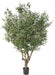 Olivo Artificiale 215 Cm Per Interni
