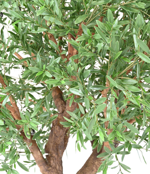 Ulivo Artificiale 270 Cm Per Decorazione Esterno