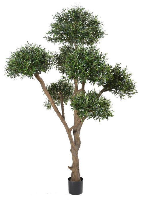 Olivo Artificiale 270 Cm Per Interni