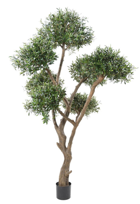 Olivo Artificiale 270 Cm Per Interni