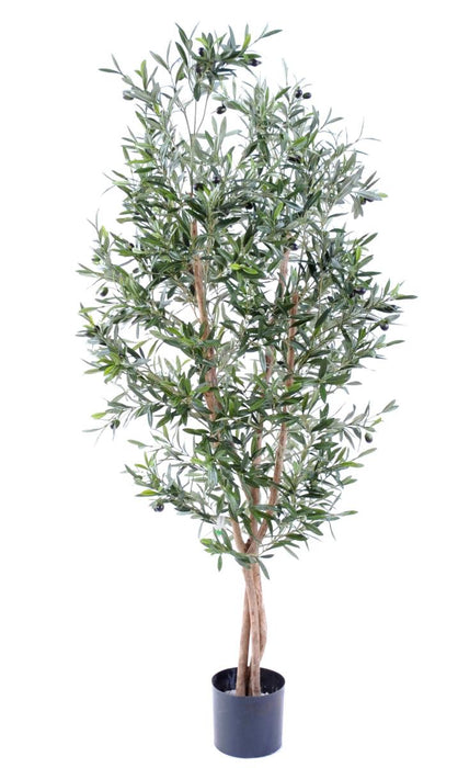 Ulivo Artificiale 3 Tronchi H.150Cm Decorazione Interni