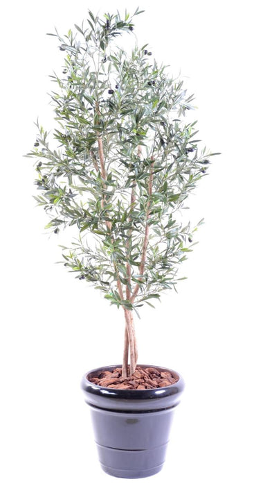 Ulivo Artificiale 3 Tronchi H.150Cm Decorazione Interni