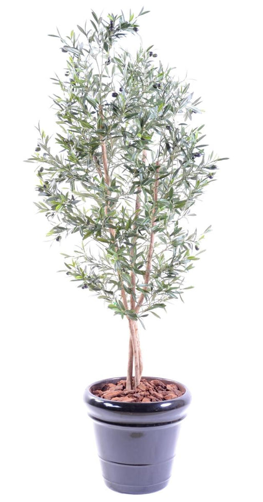 Ulivo Artificiale 3 Tronchi H.150Cm Decorazione Interni