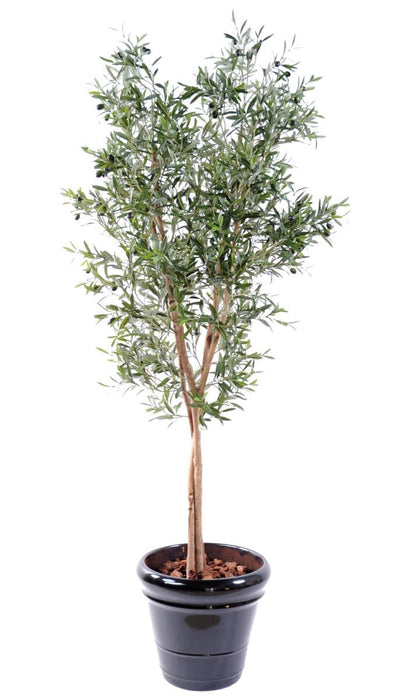 Olivo Artificiale 3 Tronchi H.180Cm Per Interni