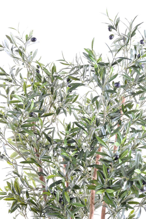 Olivo Artificiale 3 Tronchi H.180Cm Per Interni
