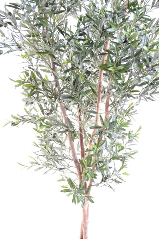 Olivo Artificiale 3 Tronchi H.180Cm Per Interni