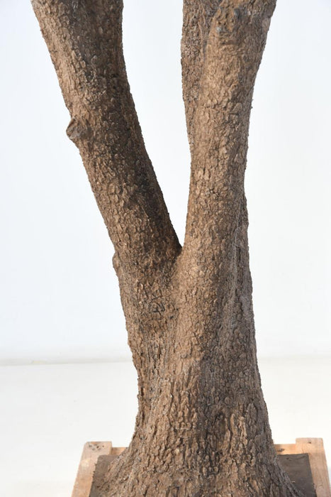 Olivo Artificiale 330 Cm Pianta Da Interno