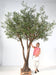 Olivo Artificiale 330 Cm Pianta Da Interno
