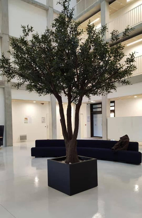 Olivo Artificiale 330 Cm Pianta Da Interno