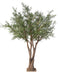 Olivo Artificiale 330 Cm Pianta Da Interno