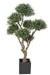 Bonsai Artificiale Olivier Cloud Per Interni 235 Cm