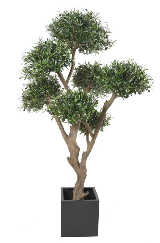 Bonsai Artificiale Olivier Cloud Per Interni 235 Cm