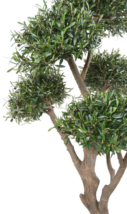 Bonsai Artificiale Olivier Cloud Per Interni 235 Cm