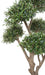 Bonsai Artificiale Olivier Cloud Per Interni 235 Cm