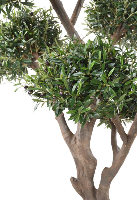 Bonsai Artificiale Olivier Cloud Per Interni 235 Cm