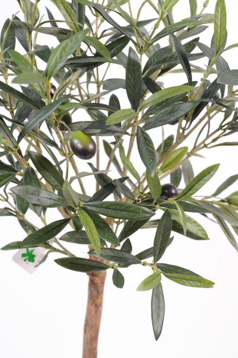 Ulivo Artificiale In Vaso 60 Cm Decorazione Interni